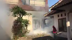Upaya-menekan-penyebaran-nyamuk-DBD-Pemkot-Denpasar-fogging.jpg