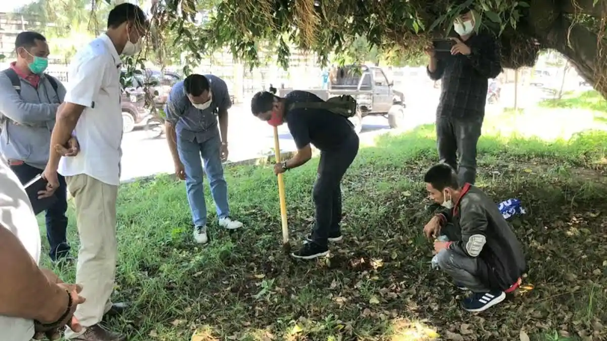 Terendus Korupsi, Tim Ahli & Jaksa Periksa Proyek Tanaman Hias Kota Kupang