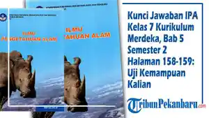 Kunci-Jawaban-IPA-Kelas-7-Kurikulum-Merdeka-Bab-5-Semester-2-Halaman-158-159-Uji-Kemampuan-Kalian.jpg