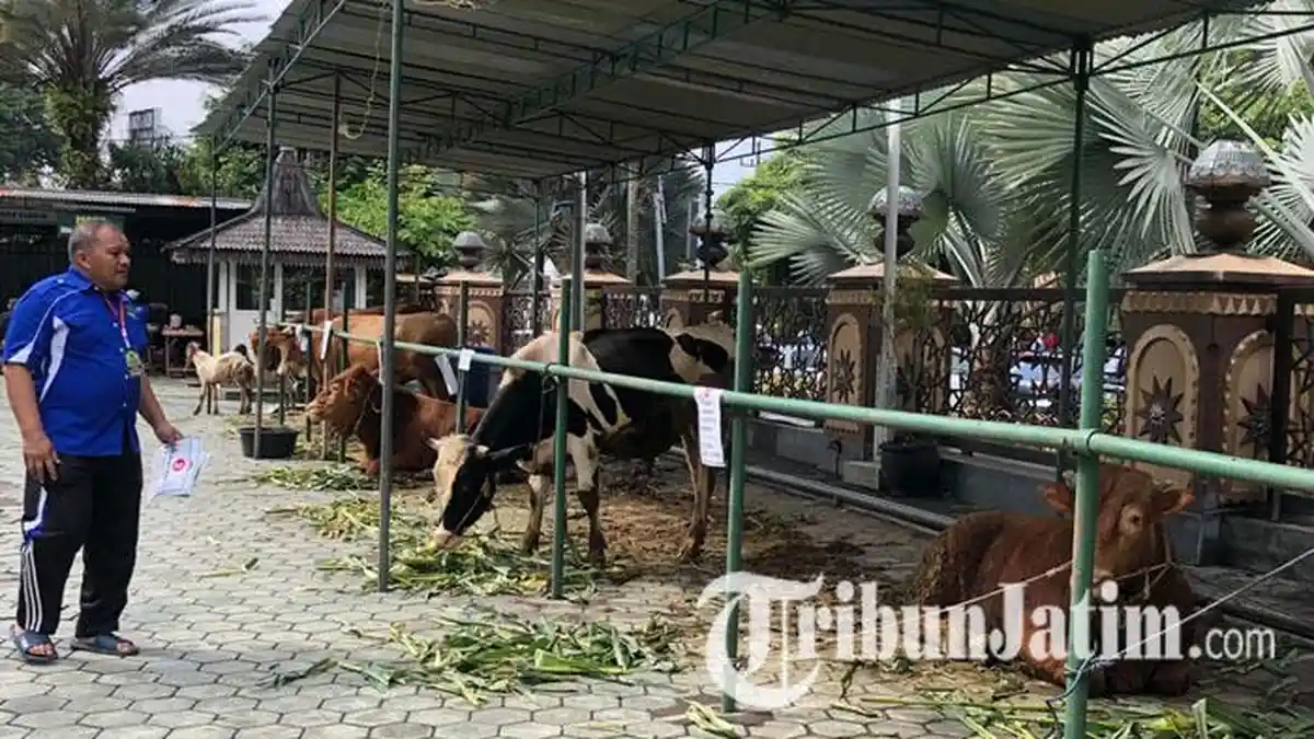 Pj Wali Kota dan DPRD Kota Batu Tanggapi Curhatan Takmir Masjid An Nur: Bagi Rata yang Lain