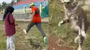 Kasus-pria-tendang-kucing.jpg