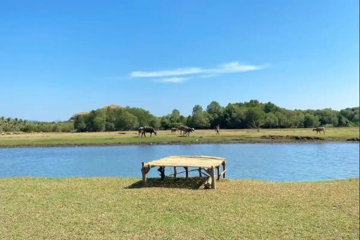 Nanga Bega, Surga Tersembunyi di Magepanda Kabupaten Sikka