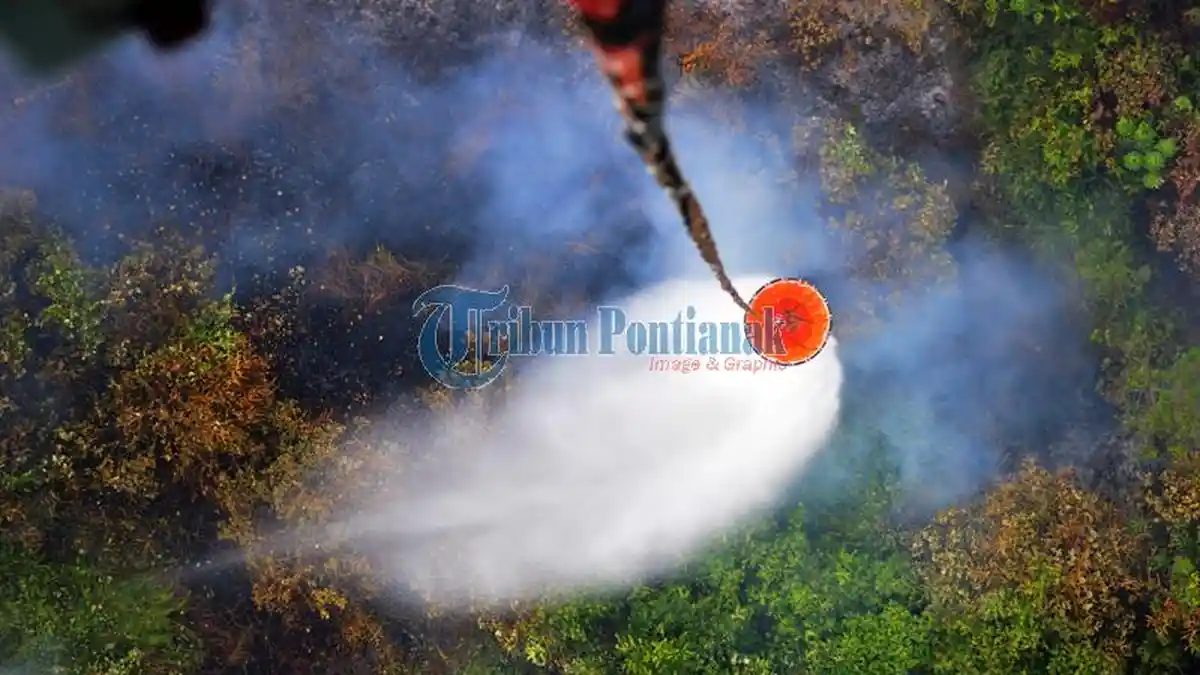 Dari Tanggal 23-29 Juli, Tercatat 33 Titik Api di Landak