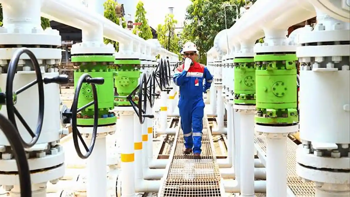 PHE Catatkan Kinerja Moncer pada 2023, Produksi dan Eksplorasi Migas Over Target