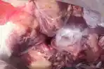 Cara-Tepat-Mengolah-Daging-Kurban.jpg