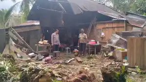 rumah-tertimpa-pohon-sawit.jpg