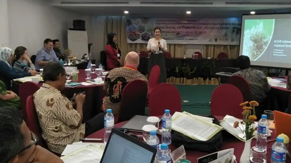 Tingkatkan Produksi Rumput Laut, ACIAR Gelar Rapat Tahunan