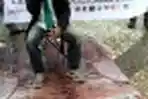 Demo Anti Perdagangan Satwa Dilindungi