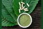 Daun-Kratom-1.jpg