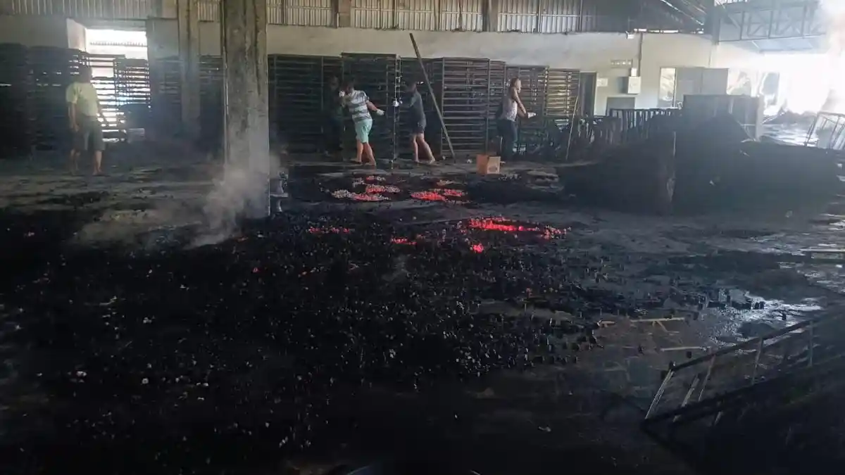 Perusahaan Arang Briket di Pagimana Banggai Terbakar, Kerugian Capai Rp1 Miliar