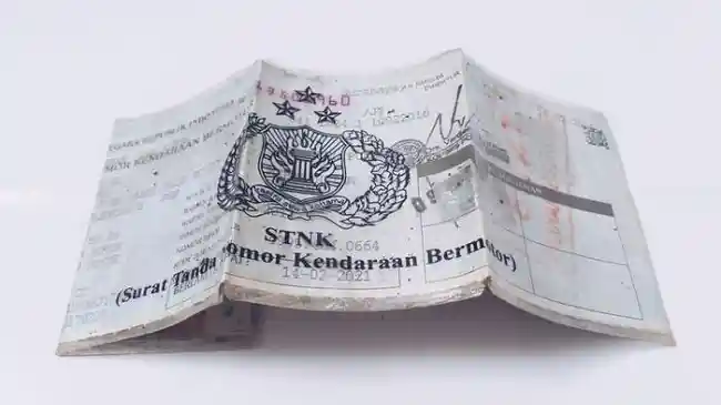 Tribun