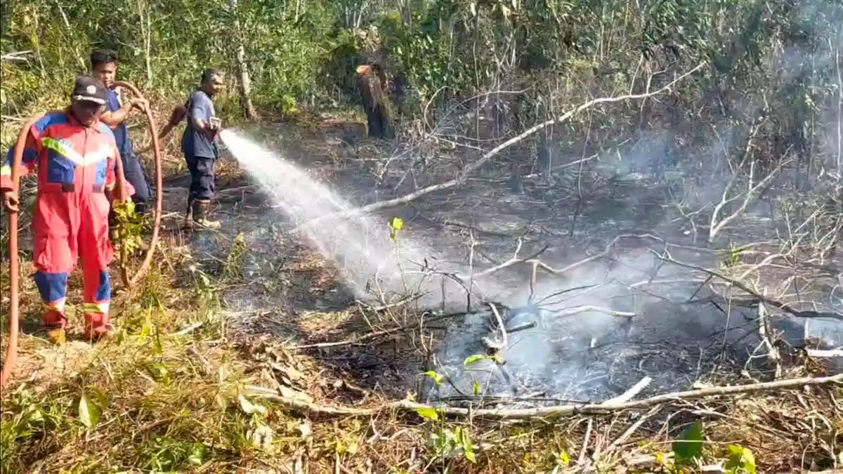 Armada Siaga Lagi, Damkar Lingga Tancap Gas Padamkan Api Bakar Lahan di ...