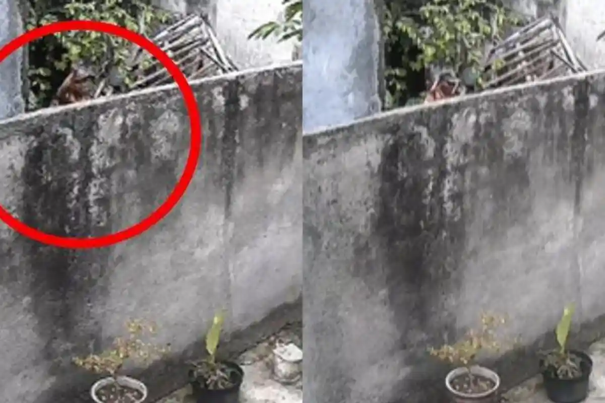 Pria Lempari Rumah Kerabat dengan Batu dan Sampah, Sempat Ribut hingga Bawa Clurit, Rebutan Warisan