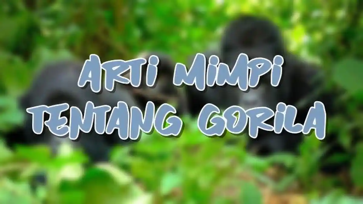 Arti Mimpi Tentang Gorila, Ternyata Menunjukan Kekuatan dalam Diri di Pemimpi.