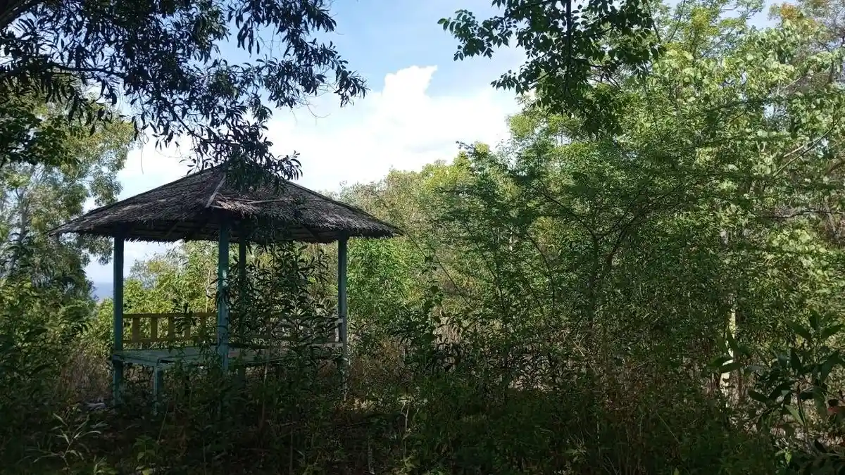 Wisata Bukit Cinta di Desa Botubarani Gorontalo Sudah Tutup, Spot Swafoto Dipenuhi Tumbuhan Liar