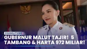 Profil-Sherly-Tjoanda-Gubernur-Malut-yang-Punya-5-Tambang-Harta-Rp972-M.jpg