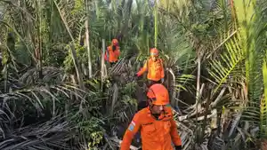Basarnas-Tarakan-cari-orang-hilang-di-hutan-04062026.jpg