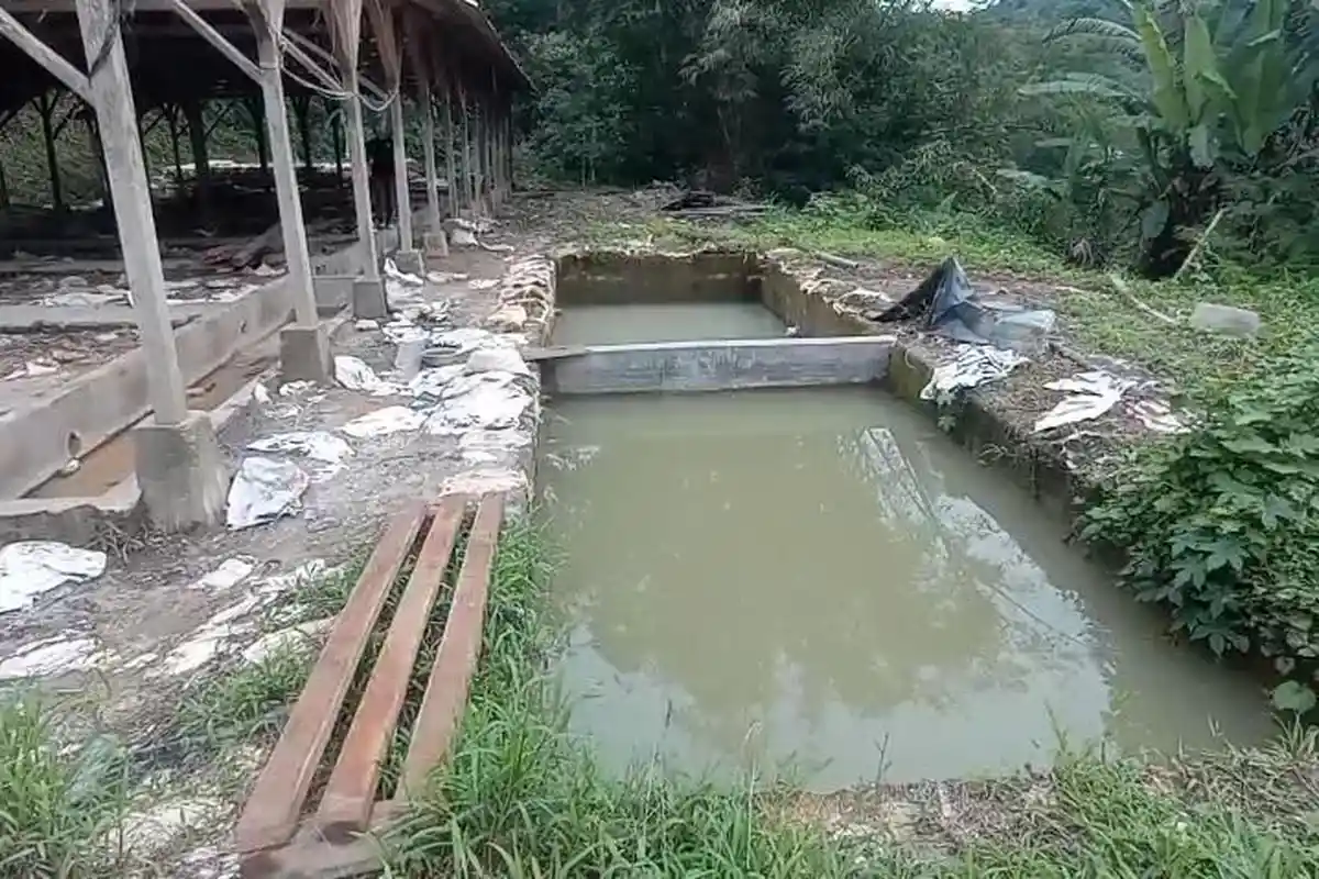 DLH Tasikmalaya Beberkan Temuan Pencemaran Merkuri di Sungai Akibat Tambang Emas Ilegal