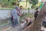 Jajaran Polresta Bandar Lampung Turut Gotong Royong Bersihkan Lingkungan di Tanjung Gading