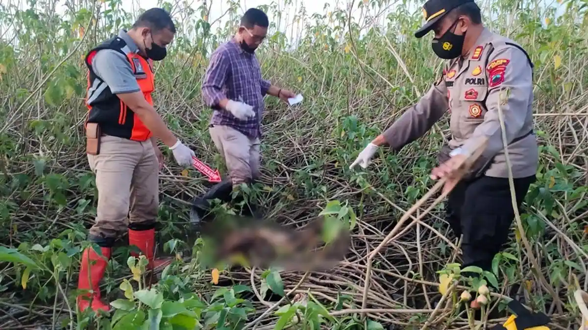 Pemancing Kaget Temukan Kerangka Manusia di Rawa Blok Beranjoyo Kudus