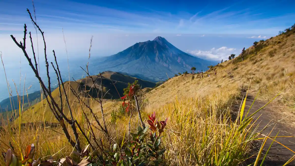Warga Australia Hilang Saat Mendaki Gunung Merbabu