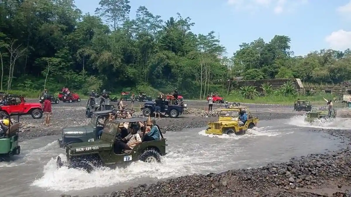Jip Wisata Merapi Diserbu Sekitar 10 Ribu Wisatawan Hari Ini