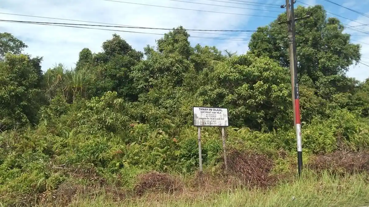 Unik, Warga Aceh Singkil Jual Beli Tanah Hanya Dihitung Lebar Depannya