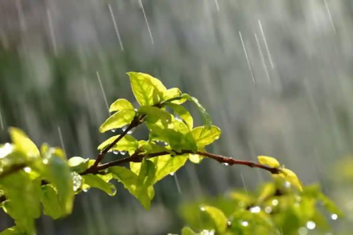 Cuaca Jatim Sabtu, 8 November 2025: Banyuwangi Hujan Ringan, Kota Batu Daerah Paling Sejuk