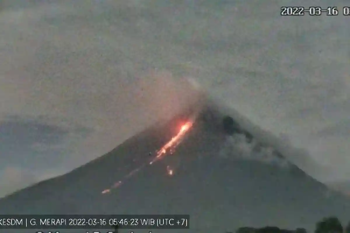 UPDATE Gunung Api Level 3 Siaga: Gunung Merapi Mengalami 31 kali Gempa Guguran