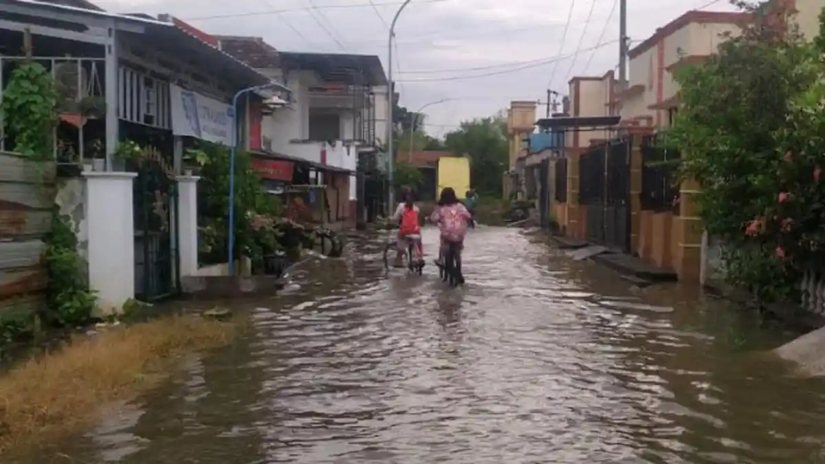 Banjir Kali Lamong Terjang 4 Kecamatan di Gresik, Ribuan Rumah Warga Tergenang Air