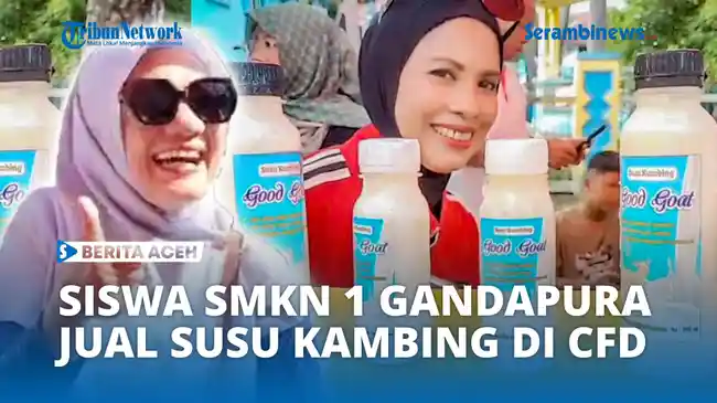 Tribun