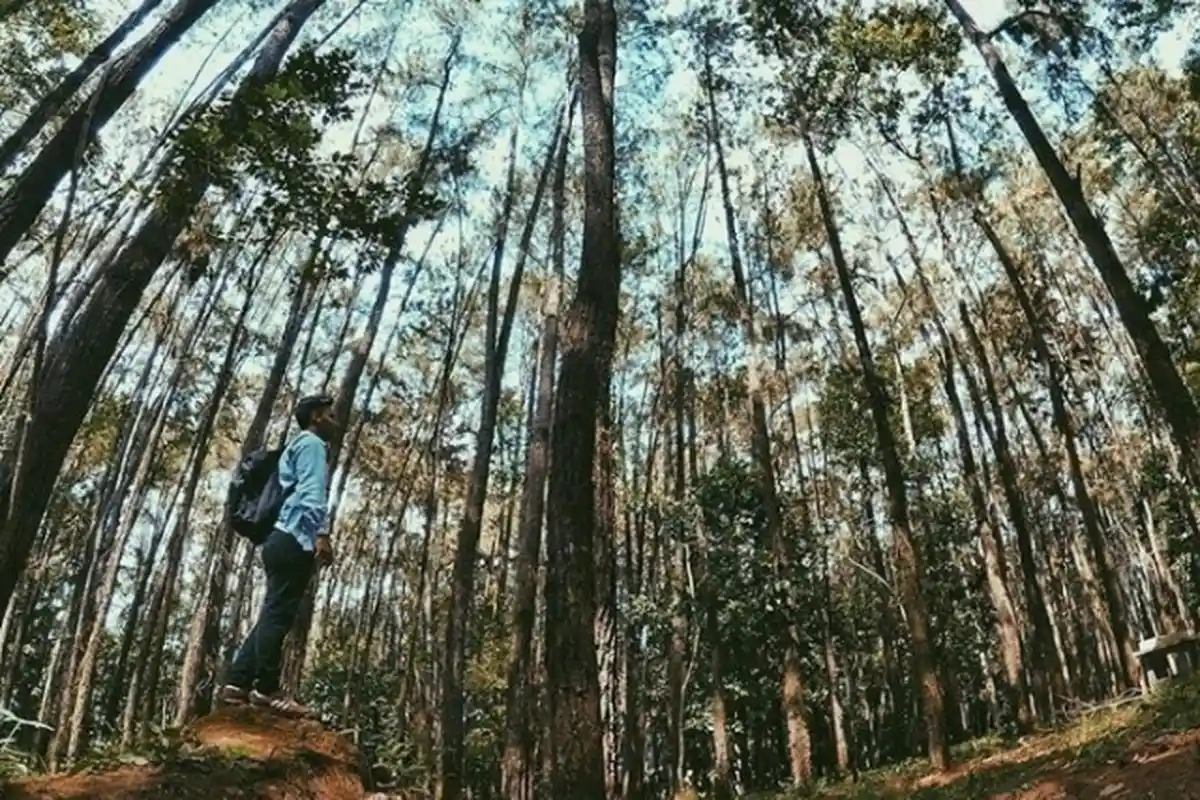 Lahan Perusahaan Prabowo Subianto di Aceh Akan Diambil Alih, Dibagikan Untuk Bekal Keluarga Baru