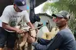20260516_SALON-KAMBING.jpg
