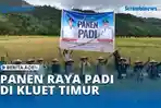 VIDEO Panen Raya Padi di Kluet Timur, Bupati Mirwan Dukung Swasembada Pangan