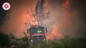 israel-kebakaran.jpg