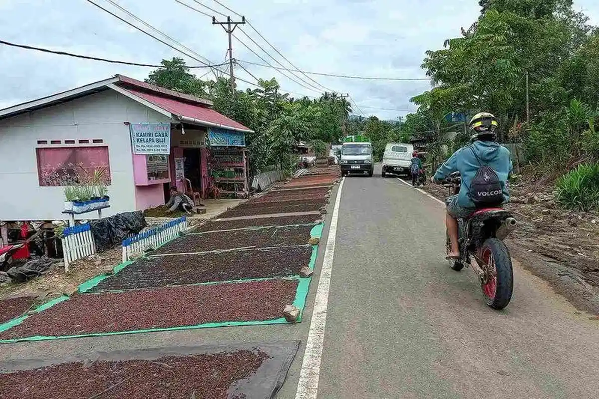 Jalan di Desa Bai Boltim Jadi Tempat Jemur Cengkih, Pengendara Keluhkan Jalur jadi Mengecil