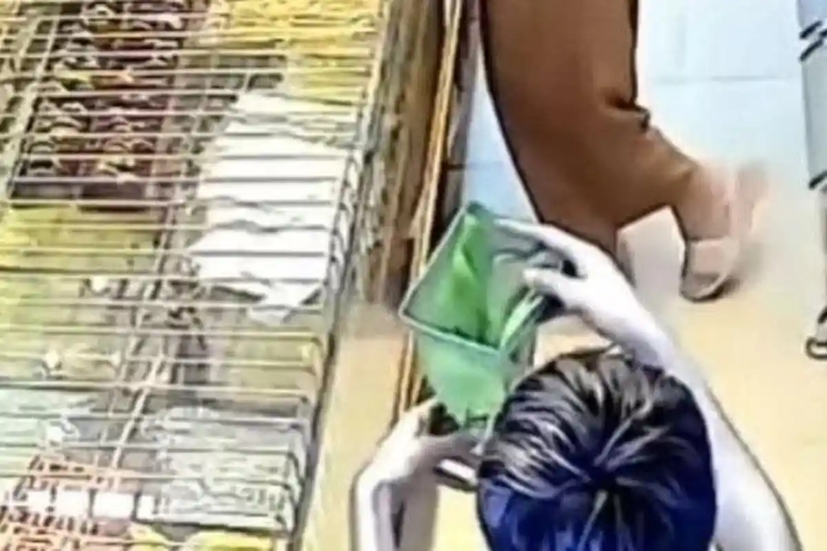 Manusia Silver Terekam CCTV Curi Emas 2,4 Gram di Toko, Dijual Cuma Rp350.000 Buat Biaya Sehari-hari