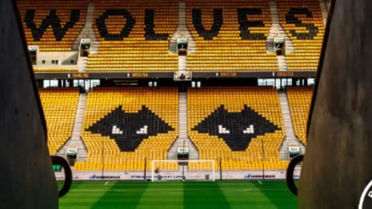 Prediksi Skor Wolves vs Portsmouth, Head to Head dan Statistik di EFL ...