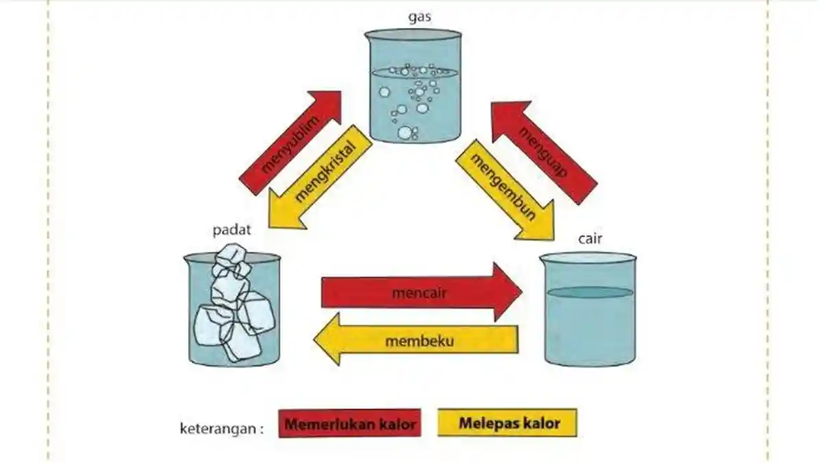 Kunci Jawaban Tema 7 Kelas 5 Halaman 65 66 67 Buku Tematik Subtema 2 Pembelajaran 5