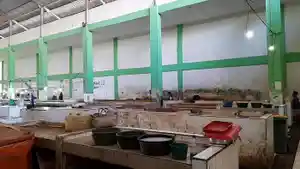 20260323-EVALUASI-RETRIBUSI-Kondisi-lapak-di-bagian-ujung-Pasar-Manggar.jpg