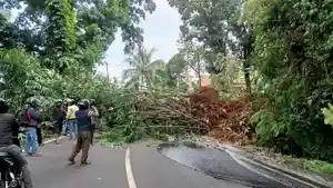 Longsor-di-Cijambe-tutup-jalan-Subang-Bandung-1222024-1.jpg