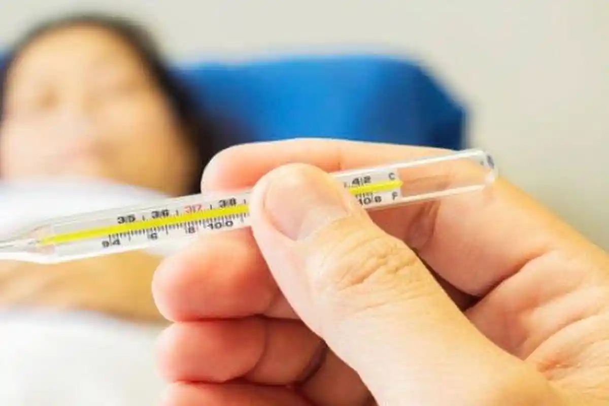 Kasus DBD Kota Malang Capai 560 Orang, Warga Diimbau Waspada saat Musim Hujan, ini Cara Pencegahan