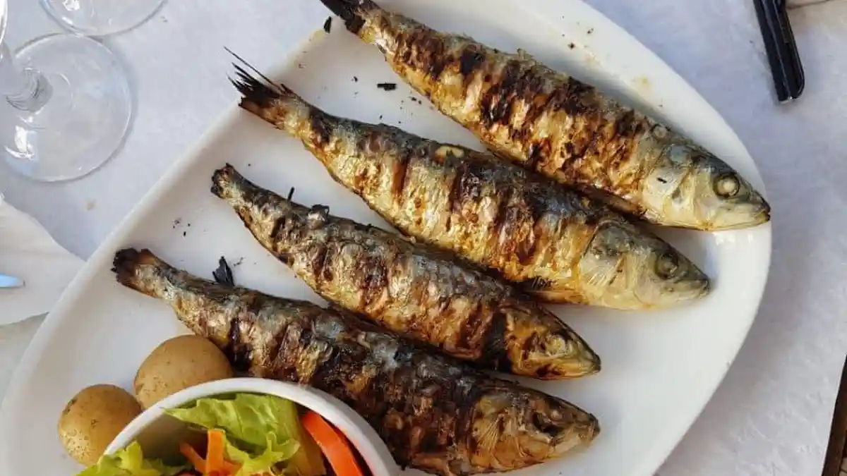 Arti Mimpi Makan Ikan Menurut Primbon Jawa, Mengingatkan Kesehatan Fisik dan Emosional Anda