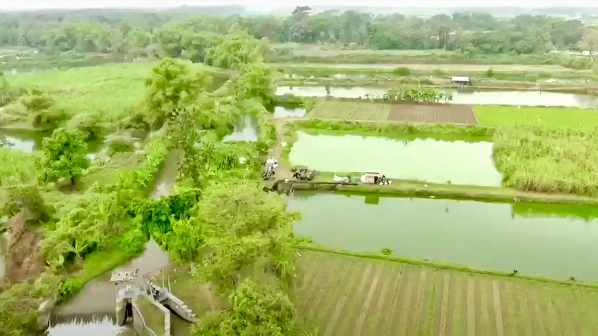 Mengenal Desa Rejoagung, Potensi Desa Meningkat Pasca Program Penataan Akses Reforma Agraria
