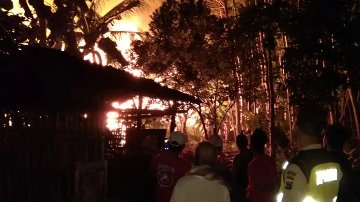 Warga Blitar Cium Bau Gurih Bercampur Gosong Mirip Sate, Ternyata Kandang Berisi 8000 Ayam Terbakar
