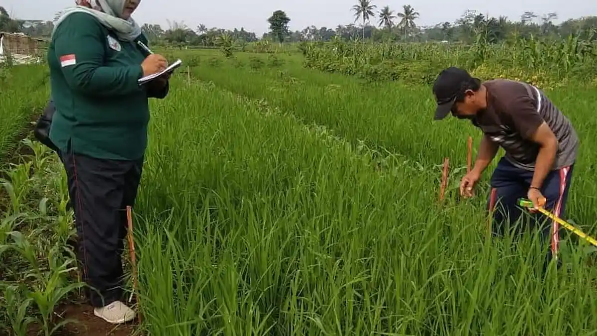 Optimalisasi Kaji Terap Saat Covid-19