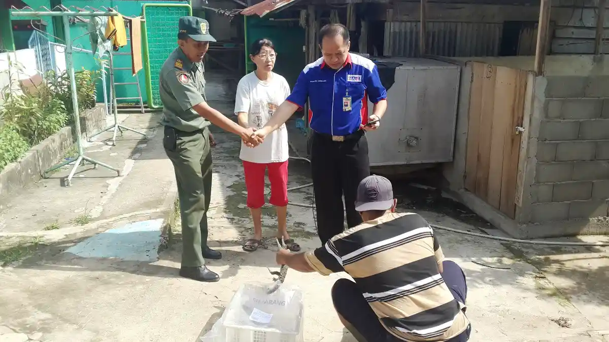 Tertulis Pakaian, TIKI Palembang Temukan Paket Berisi Anak Buaya