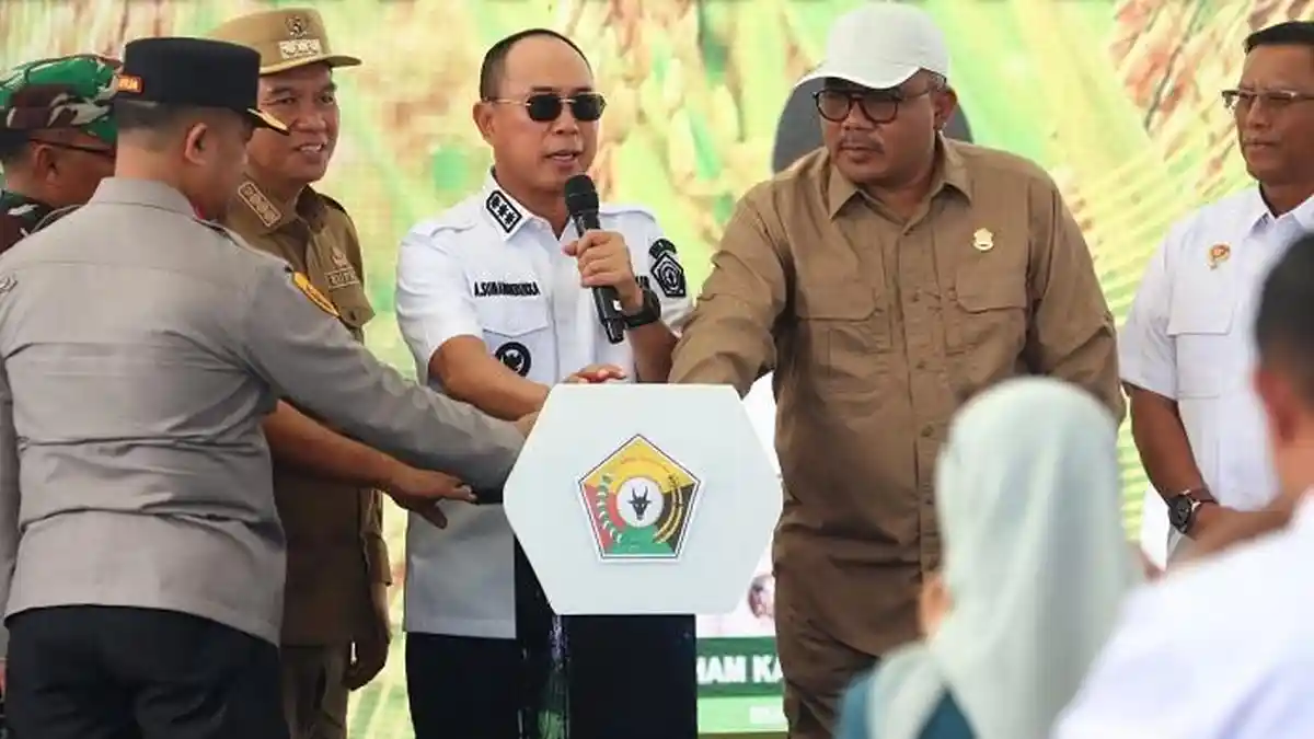 6.745 Ha Sawah Baru Dibuka di Sulawesi Tenggara 2025, Terbanyak Kolaka Timur, Program Gubernur ASR