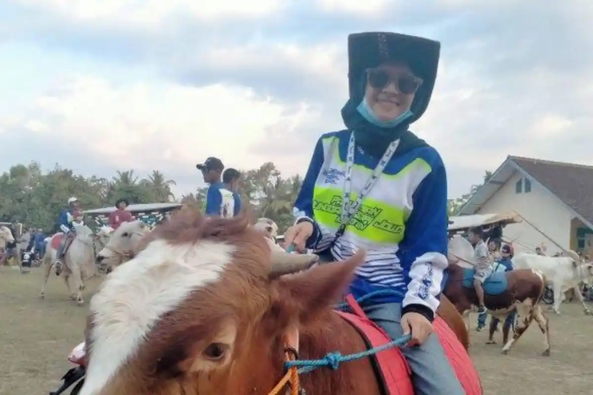 Berawal dari Menemani Ayah, Jelita Ketagihan Nunggang Sapi dan Ikut Pawai di Klaten