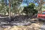 Kebakaran Hutan dan Lahan Kembali Landa Desa Bambalemo Parimo, Damkar Sempat Kehabisan Air